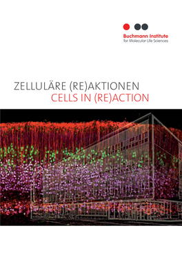 Zelluläre (Re)Aktionen Cells in (Re)Action Bmls = Buchmann Institute for Molecular Life Sciences Zelluläre (Re)Aktionen Cells in (Re)Action