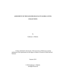 Download Thesis-Finalcatherinemeholic.Pdf