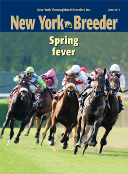 New York Breeders by Highest Earnings Domestic and Foreign Racing January 1, 2011, Through May 15, 2011