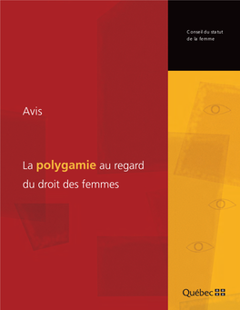 La Polygamie Au Regard Du Droit Des Femmes Avis