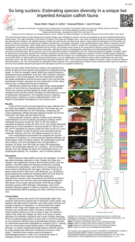 Baryancistrus Niveatus 'L142' Impact of Hydropower Development in the Amazon Basin