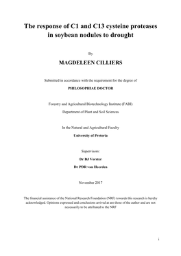 The Response of C1 and C13 Cysteine Proteases in Soybean Nodules to Drought