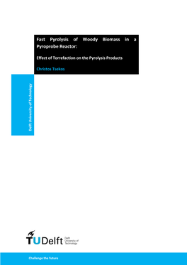 Fast Pyrolysis of Woody Biomass in a Pyroprobe Reactor: Effect of Torrefaction on the Pyrolysis Products