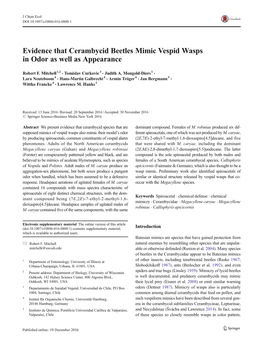 Evidence That Cerambycid Beetles Mimic Vespid Wasps in Odor As Well As Appearance