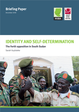 Identity and Self-Determination: the Fertit Opposition in South Sudan