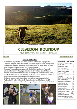Clevedon Roundup