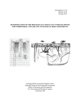 Determination of the Biologically Relevant Sampling Depth for Terrestrial and Aquatic Ecological Risk Assessments