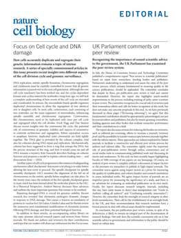 Focus on Cell Cycle and DNA Damage