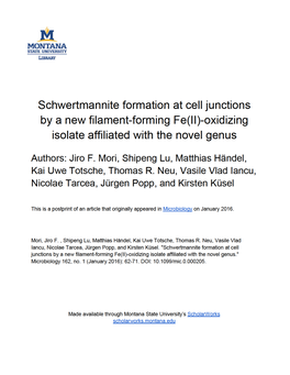 Schwertmannite Formation at Cell Junctions by a New Filament-Forming Fe(II)-Oxidizing Isolate Affiliated with the Novel Genus