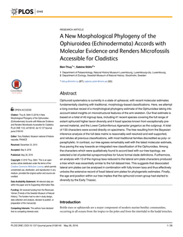 A New Morphological Phylogeny of the Ophiuroidea (Echinodermata) Accords with Molecular Evidence and Renders Microfossils Accessible for Cladistics
