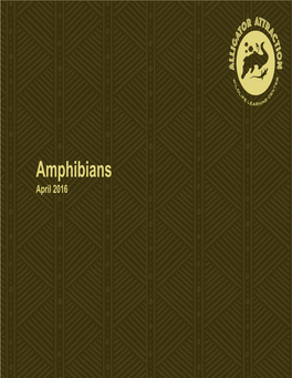 AA Amphibian Fact Sheets.Ai