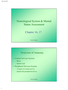 Neurological System Assessment