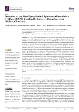 CYP74 Clan) in the Lancelet (Branchiostoma Belcheri, Chordata