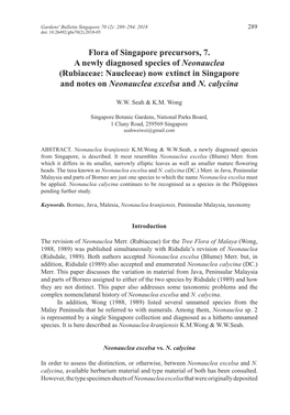 Rubiaceae: Naucleeae) Now Extinct in Singapore and Notes on Neonauclea Excelsa and N