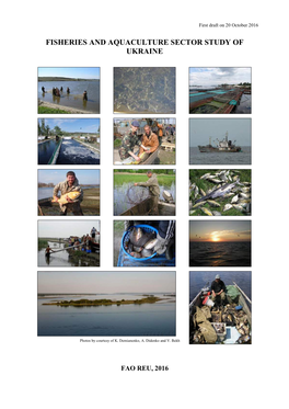 Fisheries and Aquaculture Sector Study of Ukraine