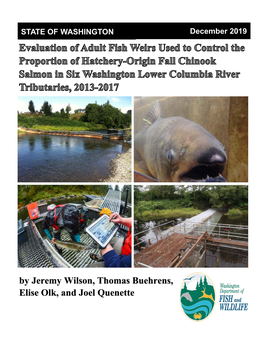 Evaluation of Adult Fish Weirs Used to Control the Proportion of Hatchery-Origin Fall Chinook Salmon in Six Washington Lower Columbia River Tributaries, 2013-2017