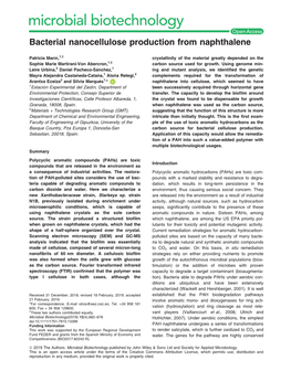 Bacterial Nanocellulose Production from Naphthalene