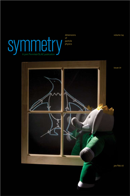 Dimensions of Particle Physics a Joint Fermilab/SLAC Publication