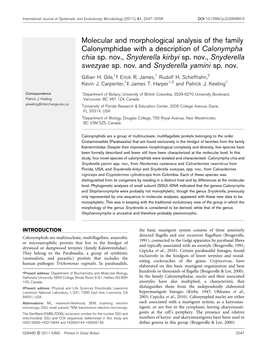 Molecular and Morphological Analysis of the Family Calonymphidae with a Description of Calonympha Chia Sp