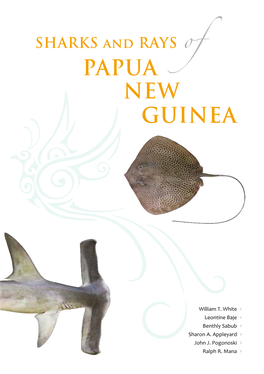 SHARKS and RAYS of PAPUA NEW GUINEA