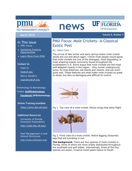 Mole Crickets—A Classical Exotic Pest