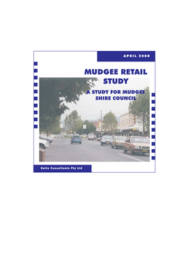 Mudgee Retail Study