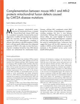 Complementation Between Mouse Mfn1 and Mfn2 Protects