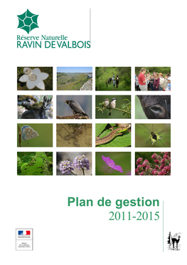 Plan De Gestion 2011-2015