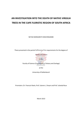 An Investigation Into the Death of Native Virgilia Trees in the Cape Floristic Region of South Africa