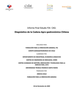 CAG: Diagnóstico De La Cadena Agro-Gastronómica Chilena