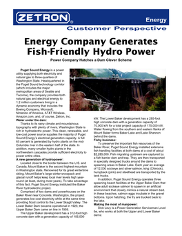 Energy Company Generates Fish-Friendly Hydro Power Power Company Hatches a Dam Clever Scheme