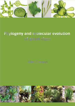 Phylogeny and Molecular Evolution of Green Algae