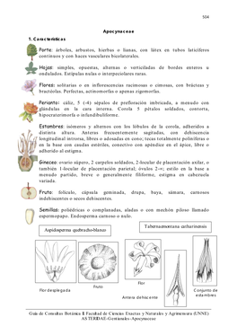 Apocynaceae 1. Características