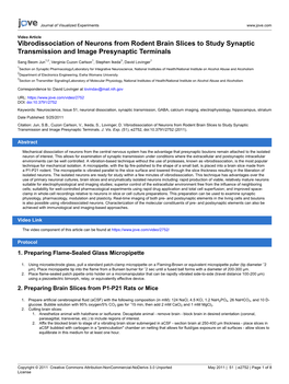 Vibrodissociation of Neurons from Rodent Brain Slices to Study Synaptic Transmission and Image Presynaptic Terminals