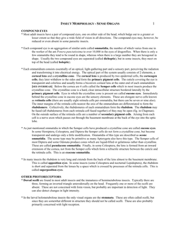 Insect Morphology - Sense Organs 1