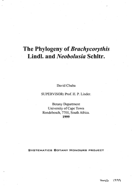 The Phylogeny of Brachycorythis Lindl. and Neobolusia Schltr