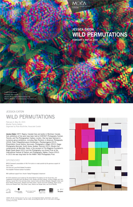 Wild Permutations February 6–May 24, 2015