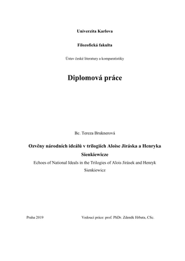 Diplomová Práce