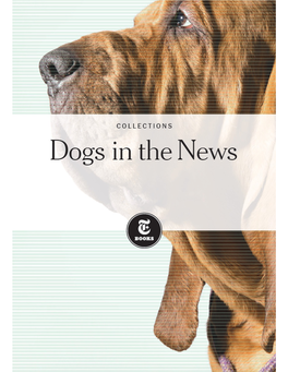 DOGS in the NEWS Tbook Collections