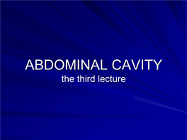 ABOMINAL CAVITY Part Three