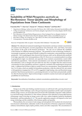 Suitability of Wild Phragmites Australis As Bio-Resource: Tissue Quality and Morphology of Populations from Three Continents