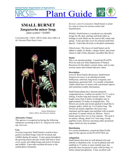 Small Burnet Is Noted SMALL BURNET for Value in Mixes for Erosion Control and Beautification