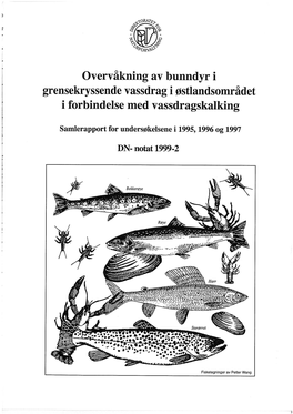 Overvåkning Av Bunndyr I Grensekryssende Vassdrag I Østlandsområdet I Forbindelse Med Vassdragskalking