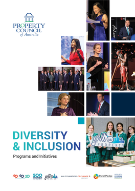 Diversity & Inclusion Programs and Initiatives