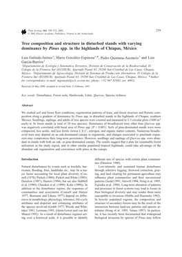 Tree Composition and Structure in Disturbed Stands with Varying Dominance by Pinus Spp