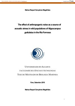 The Effect of Anthropogenic Noise As a Source of Acoustic Stress in Wild Populations of Hippocampus Guttulatus in the Ria Formosa