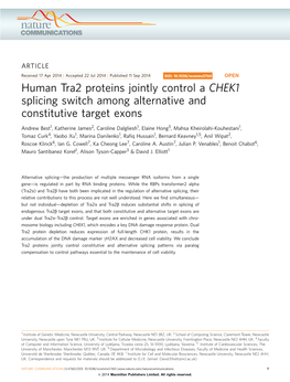 Human Tra2 Proteins Jointly Control a CHEK1 Splicing Switch Among Alternative and Constitutive Target Exons