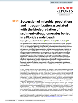 Succession of Microbial Populations and Nitrogen-Fixation Associated with the Biodegradation of Sediment-Oil-Agglomerates Buried