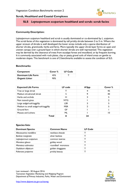 SLS Leptospermum Scoparium Heathland and Scrub: Scrub Facies