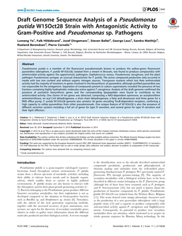 Draft Genome Sequence Analysis of a Pseudomonas Putida W15oct28 Strain with Antagonistic Activity to Gram-Positive and Pseudomonas Sp